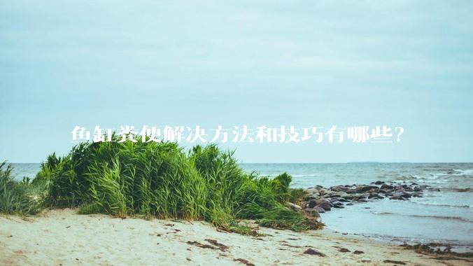 鱼缸粪便解决方法和技巧有哪些？